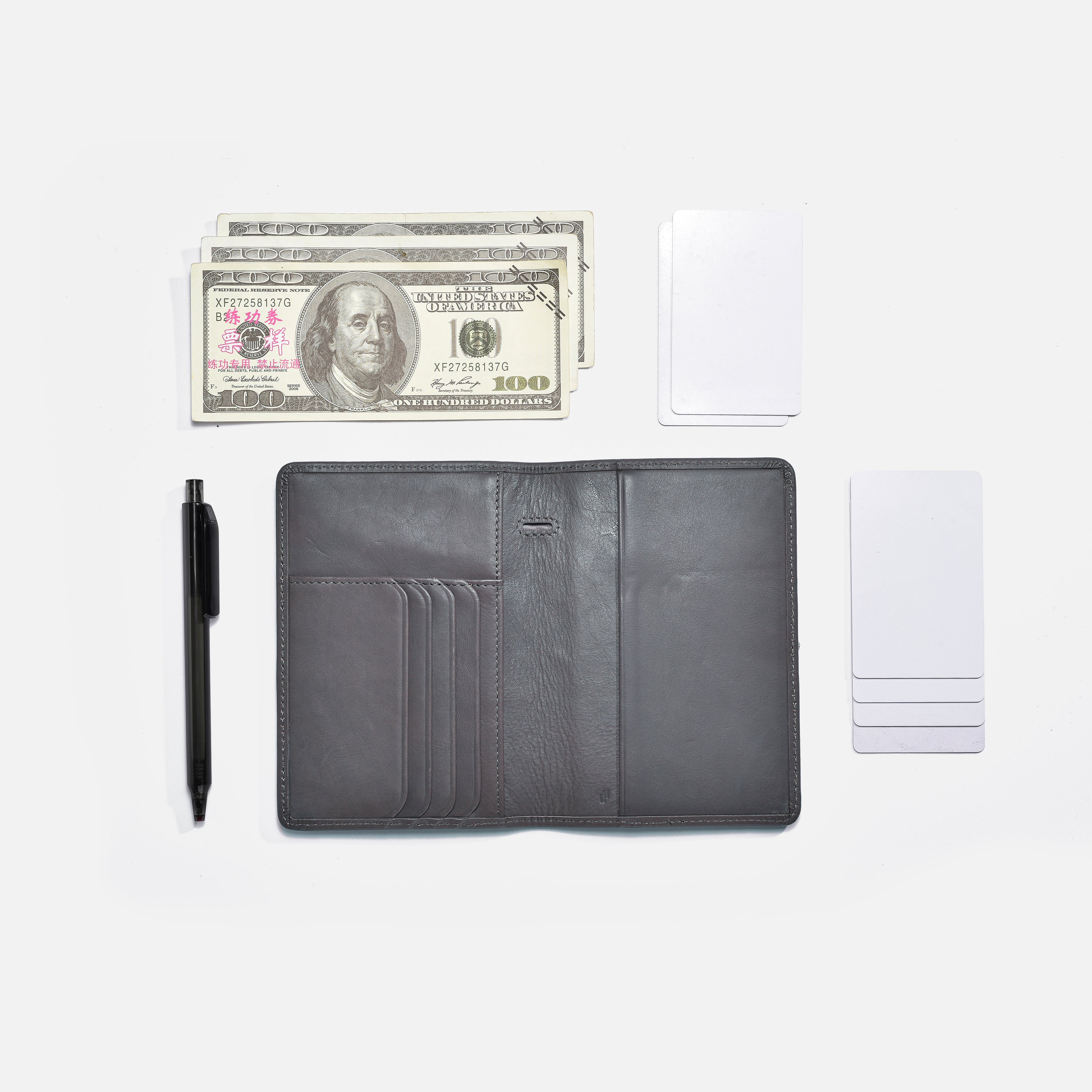 Go Passport Holder/Travel Wallet